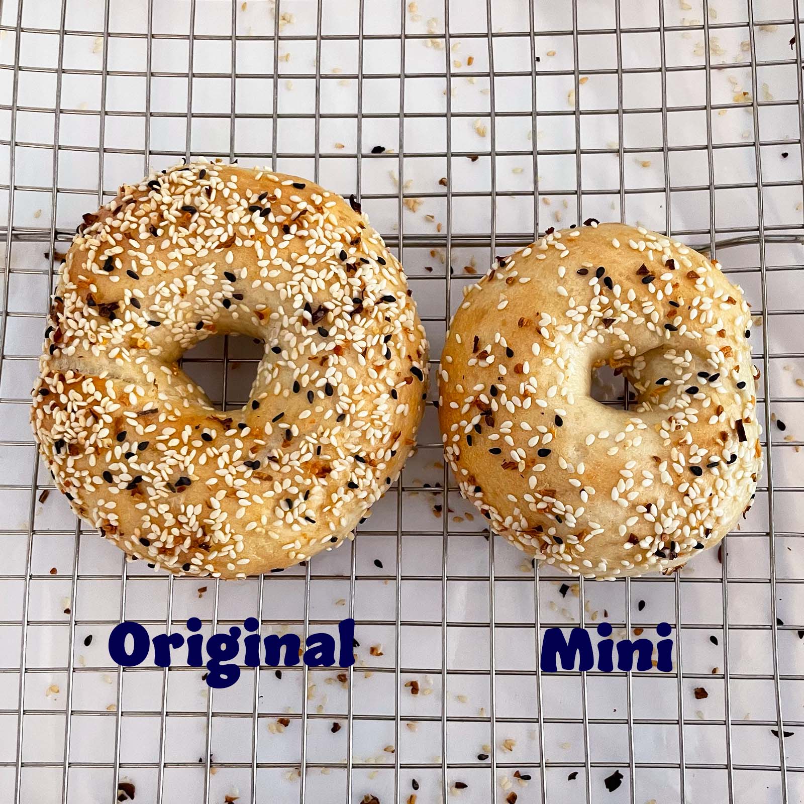 Mini Bagels – Able Bagel